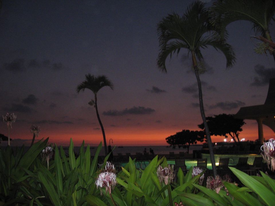 Tropical beach scene at dusk with palm trees and flowers in the foreground