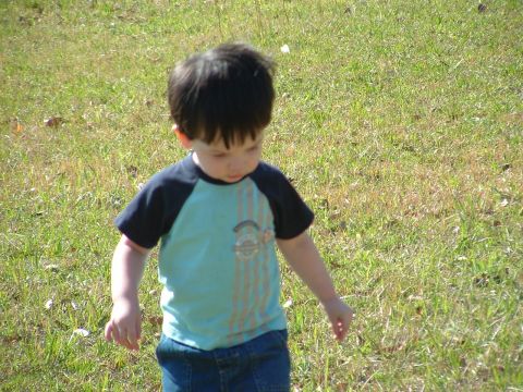 1979 Ford Bronco - A young boy walks through a grassy area on a sunny day.