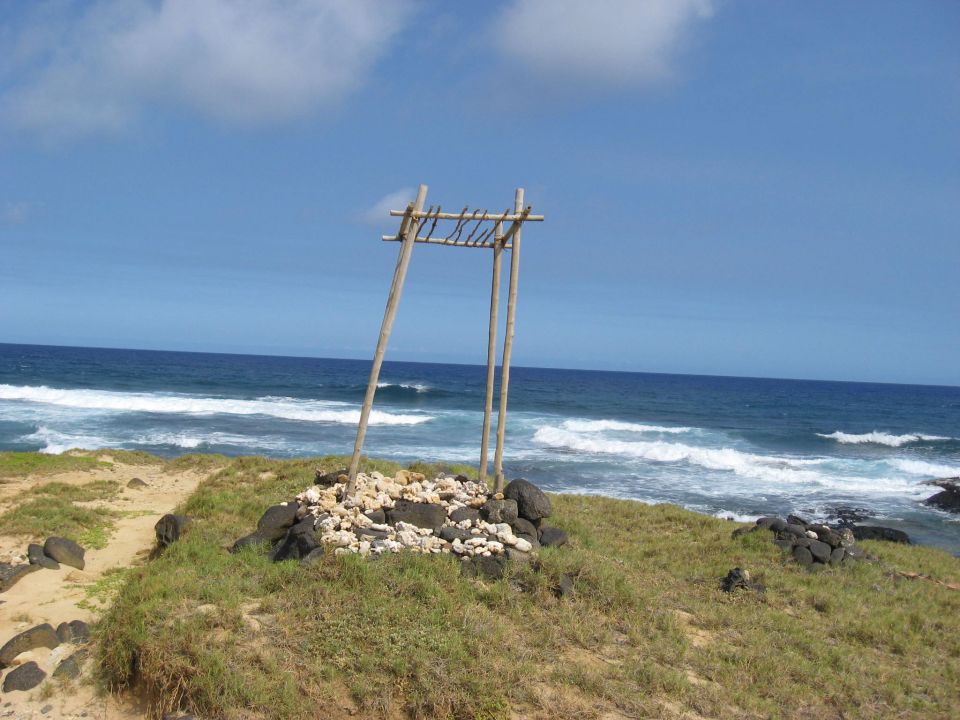 Wooden structure on grassy cliff overlooking ocean waves