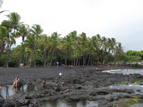 1991 Ford Bronco - A scenic view of a black sand beach in Hawaii, with palm trees lining the shore and people enjoying the water.