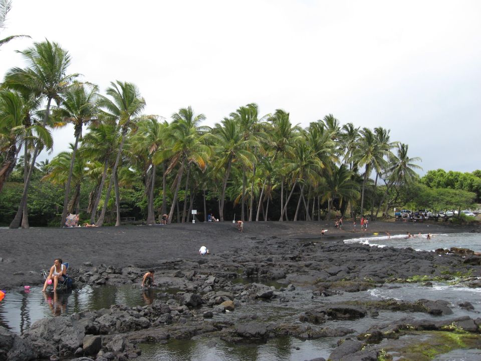 Black sand beach with palm trees and people swimming