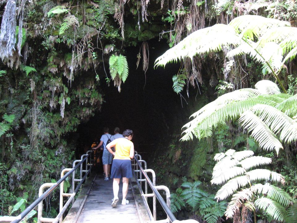 People walk on a wooden bridge toward a dark cave entrance surrounded by lush green foliage and ferns