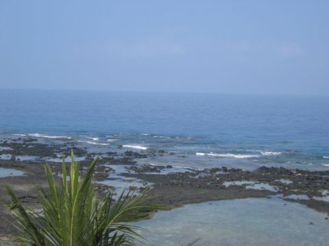 1991 Ford Bronco - A tranquil ocean scene with waves lapping against a rocky coastline, framed by lush palm leaves.