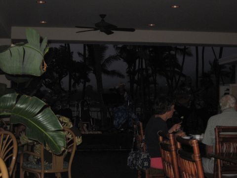 1991 Ford Bronco - People dine indoors while palm trees are visible outside a large window, suggesting a tropical location.