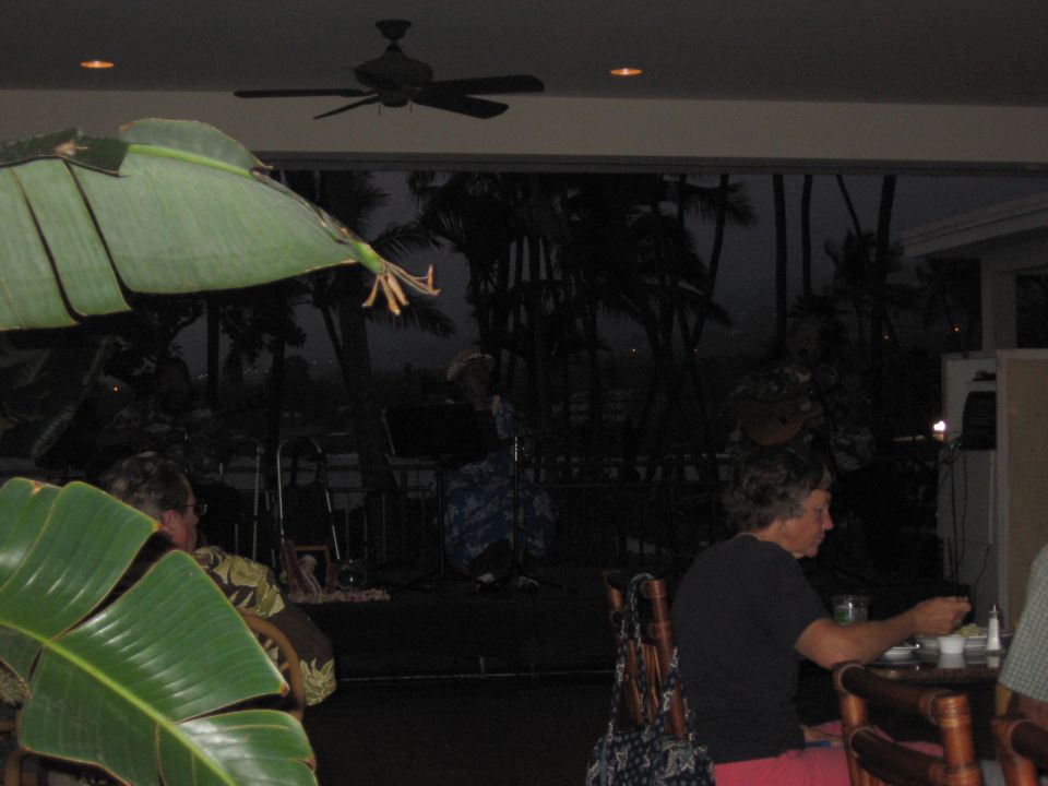 People dining outdoors at night with palm trees and a ceiling fan.
