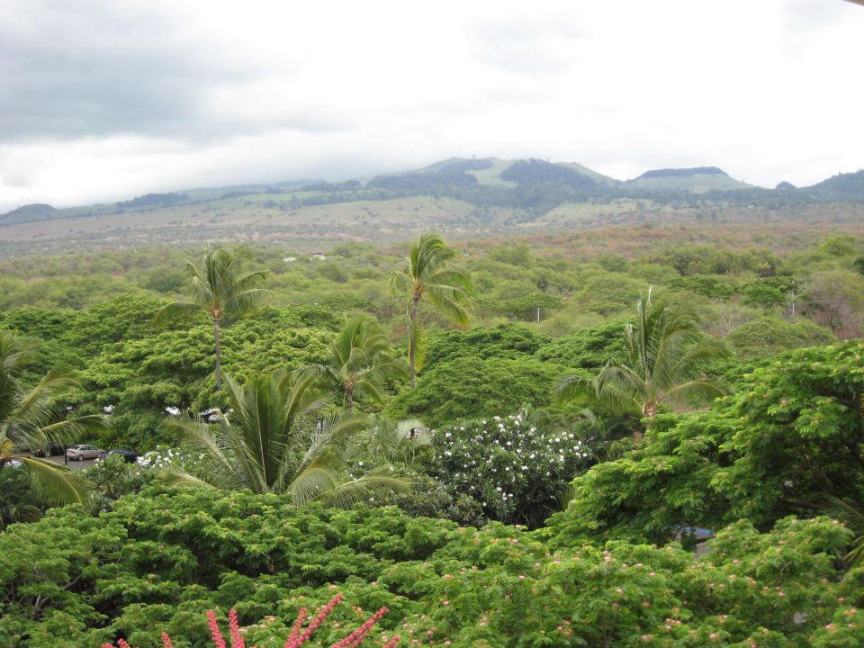 Overcast sky over a tropical landscape with mountains and dense green trees.