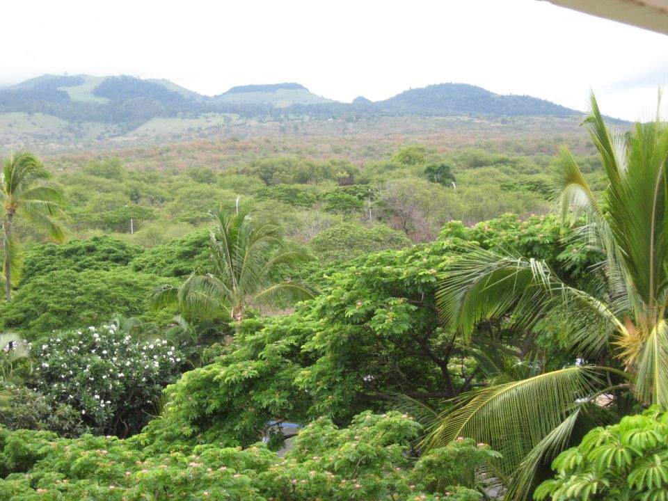 Tropical landscape with mountains, hills, and dense green foliage.