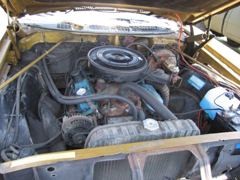 2001 Ford Crown Victoria - Photograph of an engine bay, not a technical document.