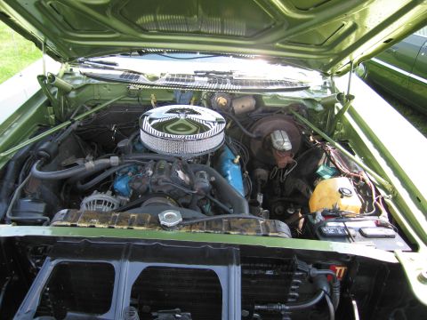 2001 Ford Crown Victoria - Engine bay view of a green classic car, a chrome air cleaner and blue valve covers.