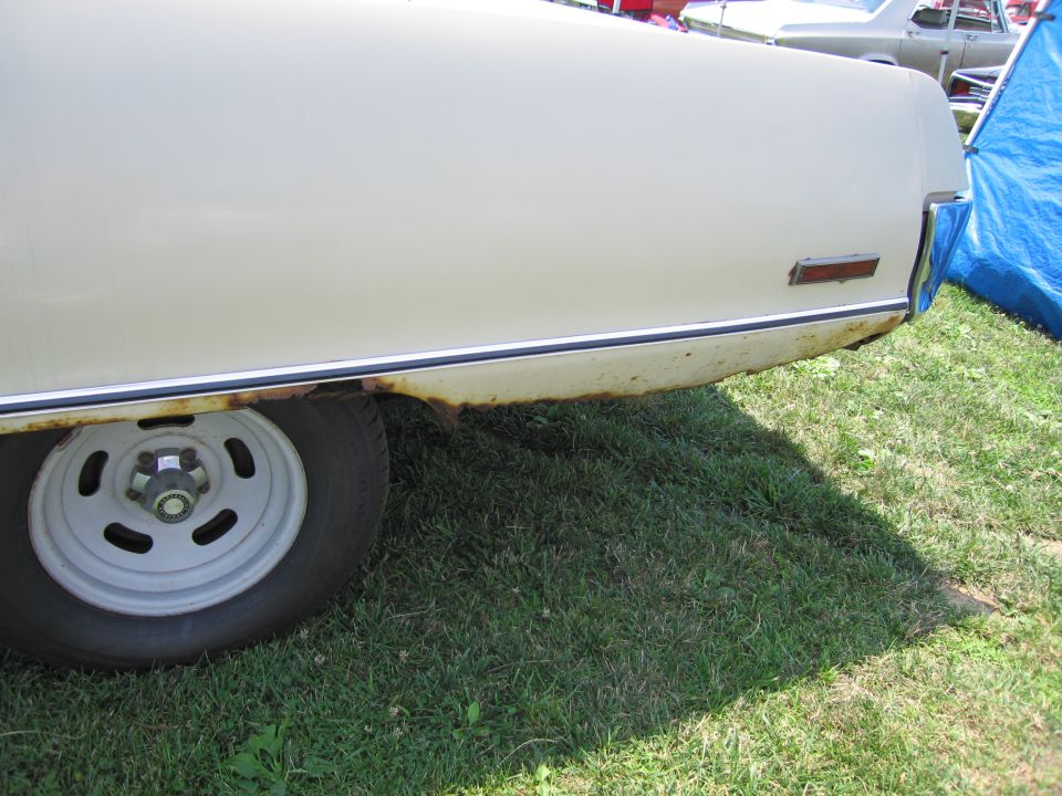 Cream car rear quarter panel with rust and white wheel