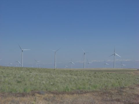 1993 Ford Bronco - A vast wind farm stretches across the horizon under a clear blue sky, with numerous turbines dotting the landscape.