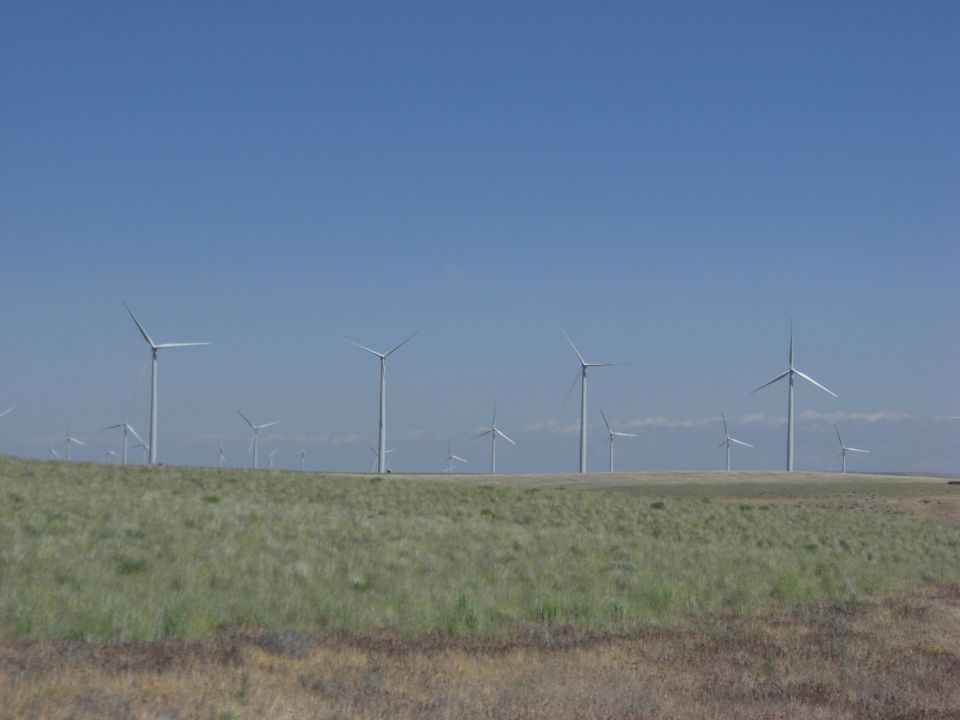 Wind farm with numerous turbines under a clear blue sky