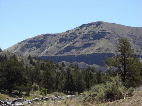 1993 Ford Bronco - A scenic view of a mountain landscape with scattered trees and vegetation under a bright blue sky.