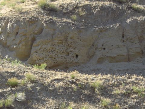 1993 Ford Bronco - A natural rock formation with numerous small holes and larger openings is shown in a dry, grassy landscape.