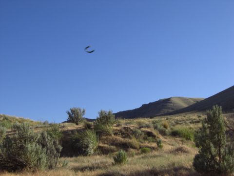 1993 Ford Bronco - A bird soars through a clear blue sky above a , arid landscape dotted with sparse vegetation and rolling hills.