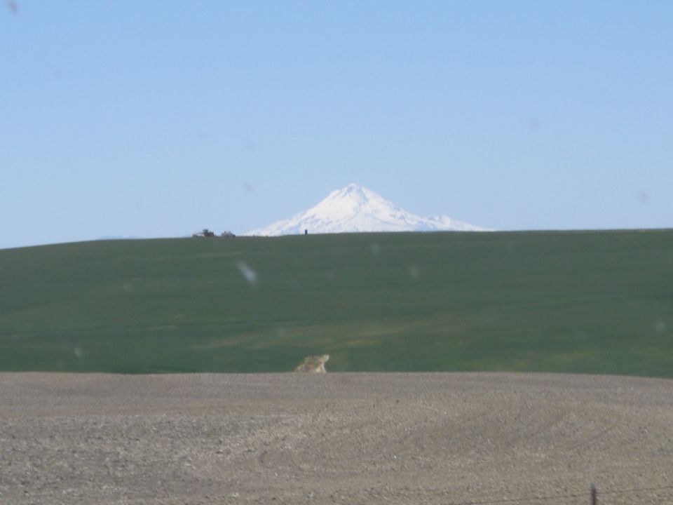 Distant snow-capped mountain over green hills, with tractors on the horizon