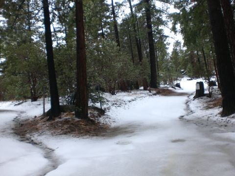 1991 Ford Bronco - A snowy forest road winds through trees, with a signpost visible on the right side.