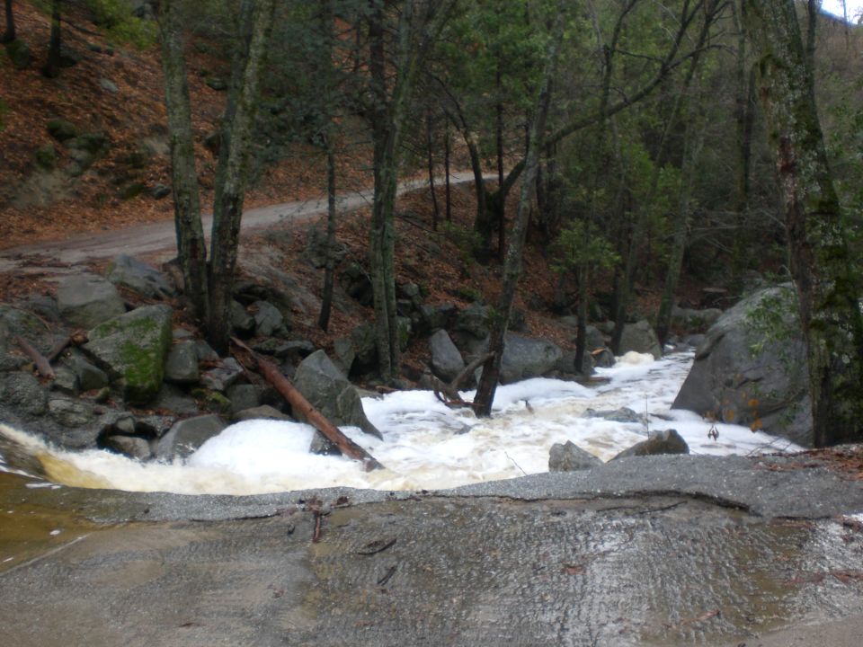 A stream flows rapidly through a forest, with a dirt road visible on the bank.