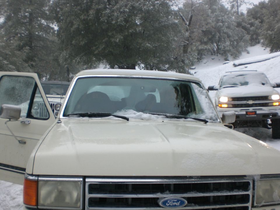Cream-colored Ford truck in the snow with its hood covered.