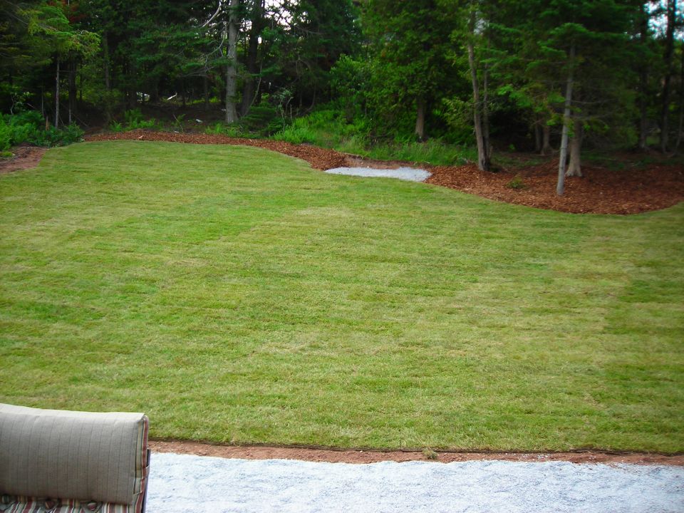 Freshly sodded lawn leading to a wooded area with mulch.