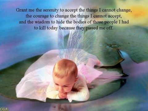 2006 Ford E350 - A baby rests on a lily pad, superimposed with a darkly humorous adaptation of the serenity prayer.
