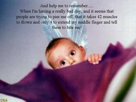 2006 Ford E350 - A baby with fairy wings peeks over a purple flower, with text about frowning and extending a middle finger.