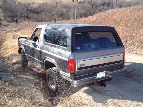 1986 Ford Bronco - This Ford Bronco, likely from the 1980s, is seen from the rear on a dirt path.