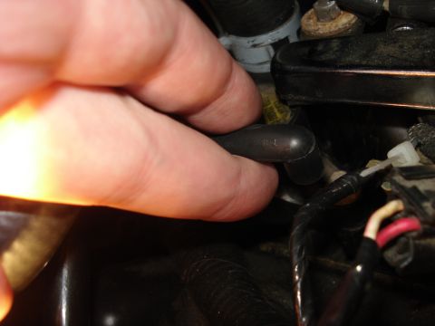 2000 Ford Crown Victoria - Close-up of a hand manipulating a rubber hose within an engine bay.