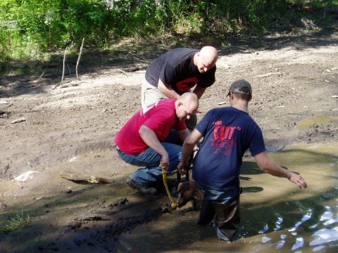 2000 Ford E350 - Three men are in shallow, muddy water, with one man pulling a small animal out of the water with a yellow rope. The man in the foreground i…