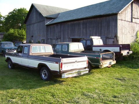 1979 Ford F-150 photo