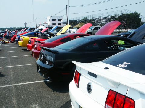 2001 Mercury Grand Marquis - A line of Ford Mustangs are parked at a car show, with their hoods open.