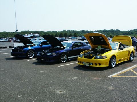 2001 Mercury Grand Marquis - Photo of black, blue, and yellow Mustangs with hoods open, displayed at a car show.
