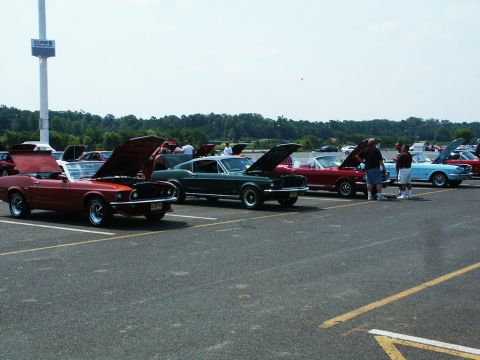 2001 Mercury Grand Marquis - Photo of vintage Mustangs lined up with hoods open at an outdoor car show near water.