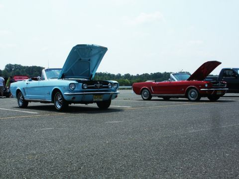 2001 Mercury Grand Marquis - Photo of a light-blue and a red 1960s Mustang convertible with hoods open at a car show.