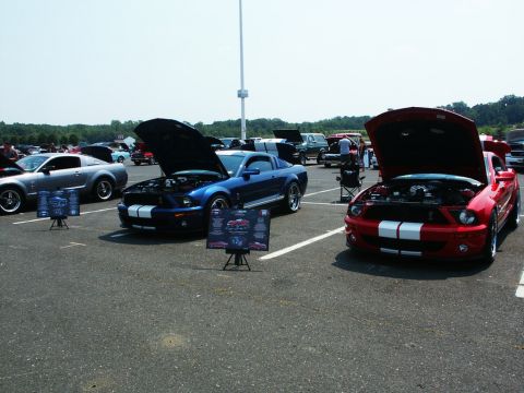 2001 Mercury Grand Marquis - Three Mustangs displayed at a car show, with hoods open. One is red, one is blue, and one is silver.