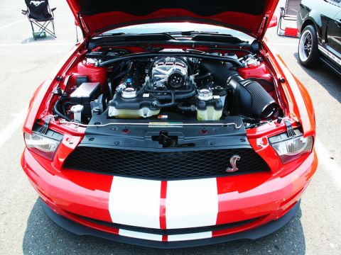 2001 Mercury Grand Marquis - A red Ford Mustang with white racing stripes is displayed with its hood open, revealing the engine bay.