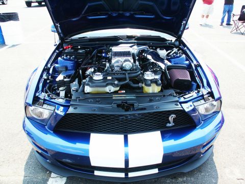 2001 Mercury Grand Marquis - Front view of a blue Ford Mustang Shelby GT500 engine bay at a car show.