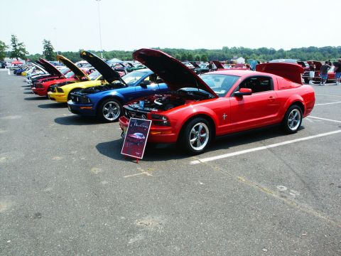 2001 Mercury Grand Marquis - Photo of red, blue, and yellow late-model Mustangs lined up with hoods open at a car show.