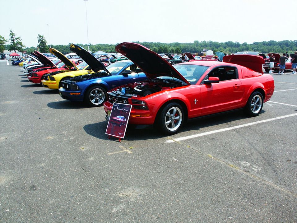 Row of late-model Mustangs with open hoods at a car show