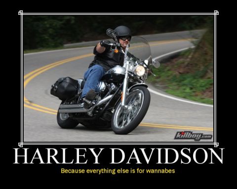 1996 Ford Crown Victoria - A rider cruises down a scenic road on a Harley Davidson motorcycle.