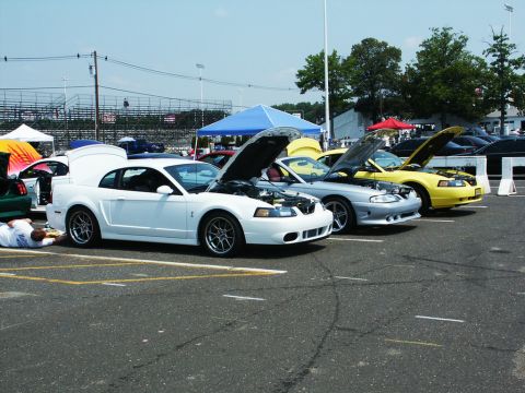 2001 Mercury Grand Marquis - Several Ford Mustangs are displayed with hoods open at a car show event.