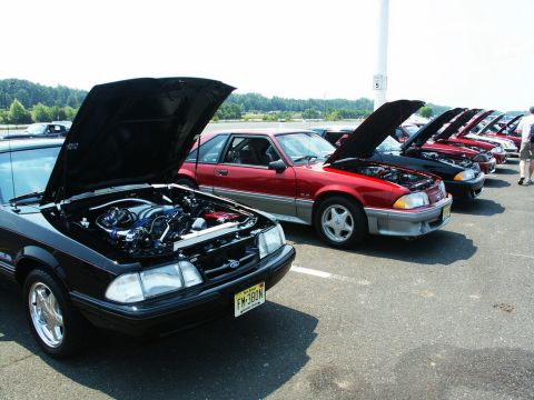 2001 Mercury Grand Marquis - Several Ford Mustang Fox Body models are displayed with their hoods open at an outdoor car show.