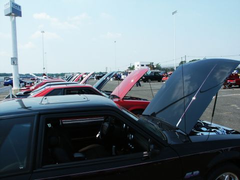 2001 Mercury Grand Marquis - A line of cars with hoods open at an outdoor car show.