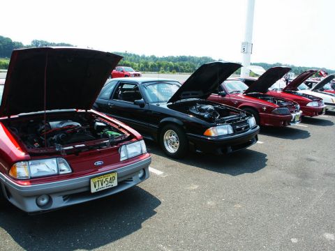2001 Mercury Grand Marquis - Multiple Ford Mustangs displayed at a car show, hoods open to reveal engines.
