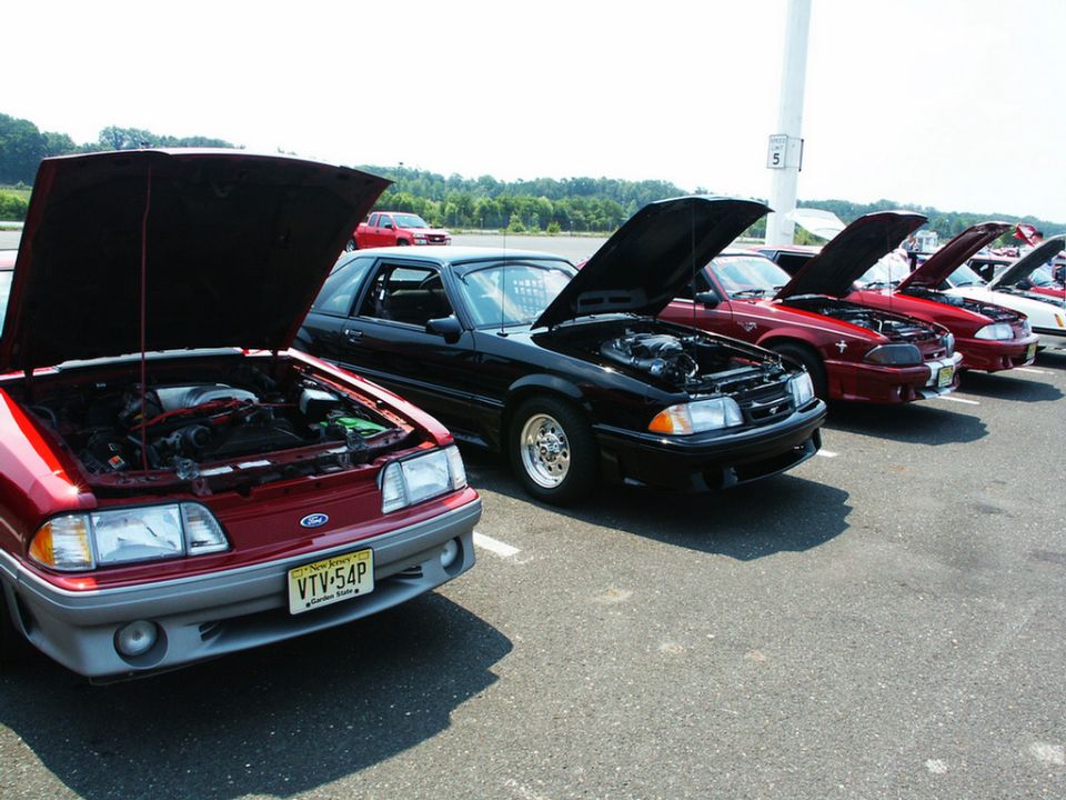 Several Ford Mustangs parked in a line, hoods up. The closest is red, followed by black, then two red ones