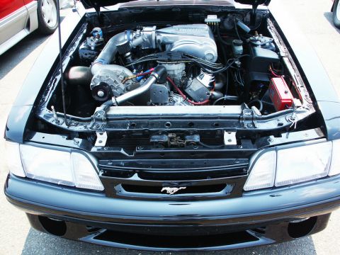 2001 Mercury Grand Marquis - The engine bay of a black Ford Mustang, a prominent supercharger and custom intake system.