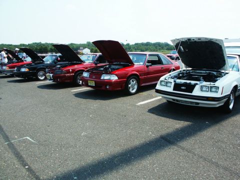 2001 Mercury Grand Marquis - A row of Ford Mustangs are parked with their hoods up, displaying their engines at an outdoor car show.