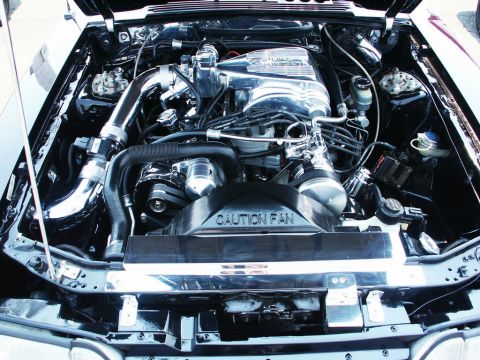2001 Mercury Grand Marquis - The engine bay of a car is shown with a highly polished engine and chrome components.