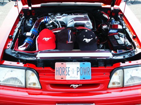 2001 Mercury Grand Marquis - Customized Ford Mustang engine bay "HORSE POWR" plate and Mustang-themed hats.