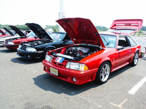 2001 Mercury Grand Marquis - A line of Ford Mustangs are displayed with hoods open at a car show. The front vehicle is red and shows its engine.